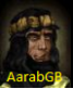 aarabgb