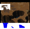 Pre-alpha version