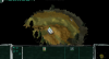 SGUI Prototype
