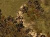 Nature-5
