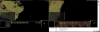 SGUI Prototype